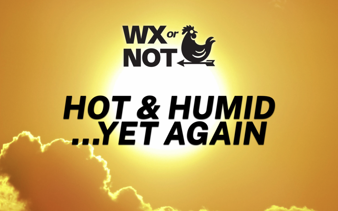 WABBLES Weekend: Heat and humidity return to seasonable levels